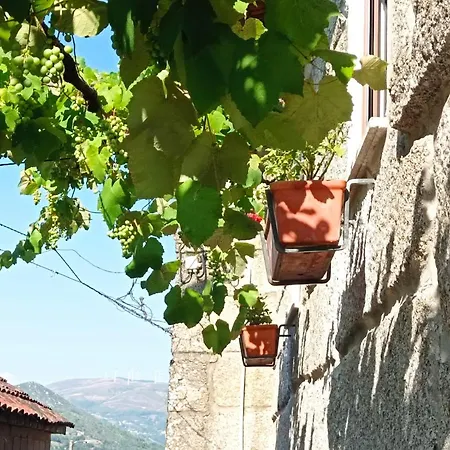 Geres - Romoa Vintage 3* Vieira do Minho